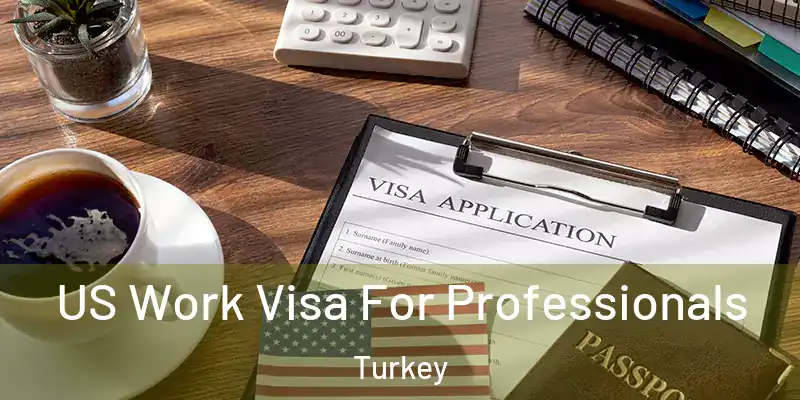 US Work Visa For Professionals Turkey